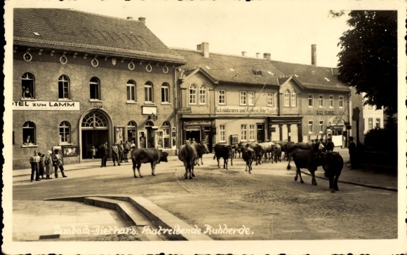 Postcard Tambach Dietharz Thuringian Forest, Falkenstein Rock, Historical Road, Hotel Zum Lamm, Austrei