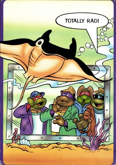 Postcard Comic, Teenage Mutant Ninja Turtles, Turtles, Rays