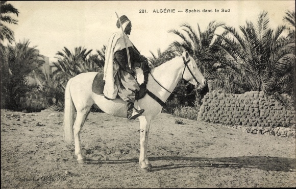 Ak Scenes et Types, Spahi dans le Sud, berittener Krieger mit Säbel, Palmen