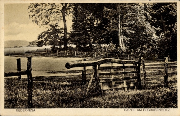Postcard Bad Bederkesa Geestland Lower Saxony, landscape with fence, trees, calm lake, vintage style