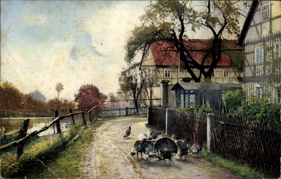 Postcard Nenke & Ostermaier Series 63 No. 1747, Autumn Study, Village Motif, Rochwitz near Dresden