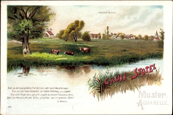 Litho Stotel Loxstedt Landkreis Cuxhaven, Burghöhe, Kühe grasen am Wasser