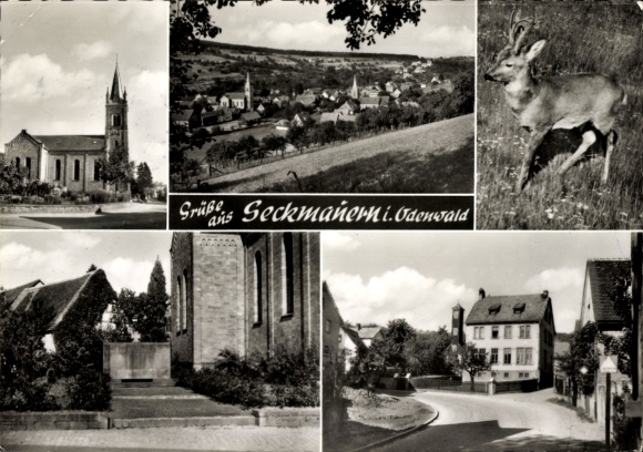 Postcard Seckmauern Lützelbach in the Odenwald Hesse, general view, deer, church