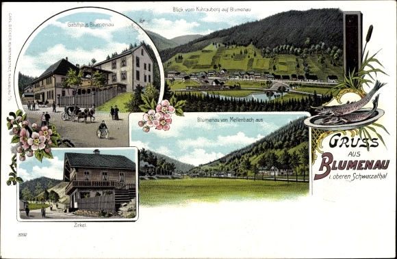 lito Blumenau Schwarzatal w Turyngii, okrąg, zajazd, widok ogólny