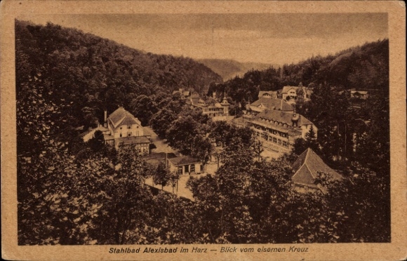 Ak Alexisbad Harzgerode am Harz, Stahlbad  Blick vom eisernen Kreuz, Harz,   Architektur
