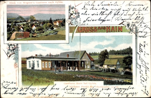 Ak Hain Hayn Oybin Oberlausitz, Gasthaus Hain, Teilansicht