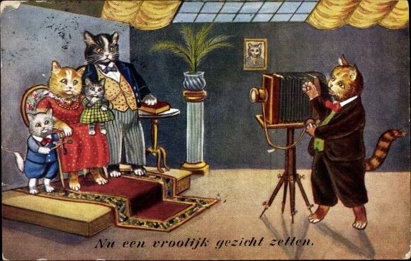 KP humanizowane koty, fotograf robi portret rodzinny, uprzejmie proszę