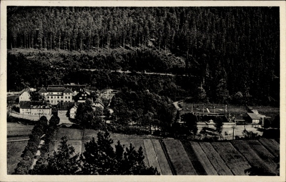 Ak Luisenthal im Thüringer Wald, Gasthof Luisenthal, Schwimmbad