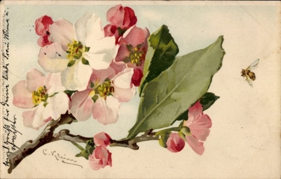 Artist Postcard Klein, C., Bee, Flowering Tree, Blossoms
