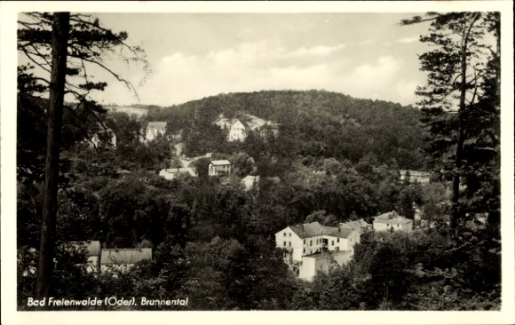 Postcard Bad Freienwalde an der Oder, view of Bad Freienwalde (Oder) with the Brunnental, in the background...