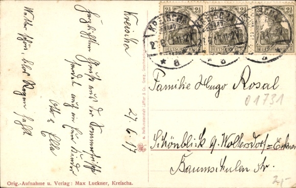 Postcard Kreischa near Dresden, castle, Red Cross hospital, lion statues, gardens