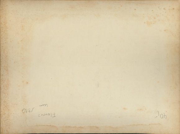 foto rond 1880, Firenze Florence Toscana, Panorama dal Viale dei colli