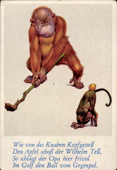 Sammelbild Lustige Bilder Nr. 19, Orang Utan spielt Golf, Schimpanse mit Zitrone auf dem Po