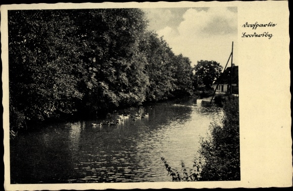 Ak Brodersby in Schleswig Holstein, Wasserpartie, Enten