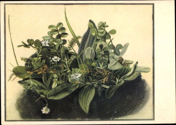 Artist Postcard Dürer, Albrecht, Small Piece of Lawn