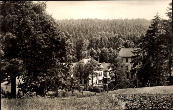 Ak Plauen im Vogtland, Pfaffenmühle