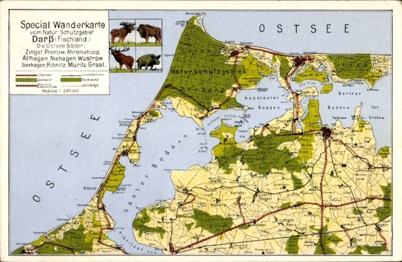 Maps Postcard Ostseebad Prerow on the Darß, special hiking map, Saaler Bodden, Zingst, Fischland