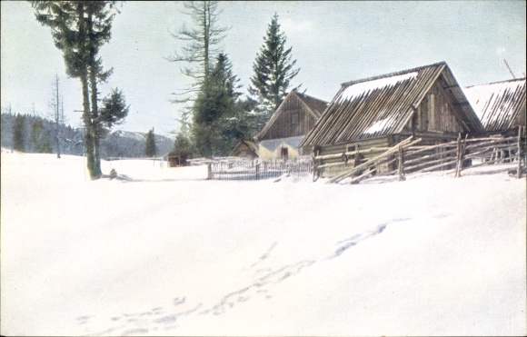 Postcard Mönichkirchen in Niederösterreich, Mönichkirchner Schwaig, Winter