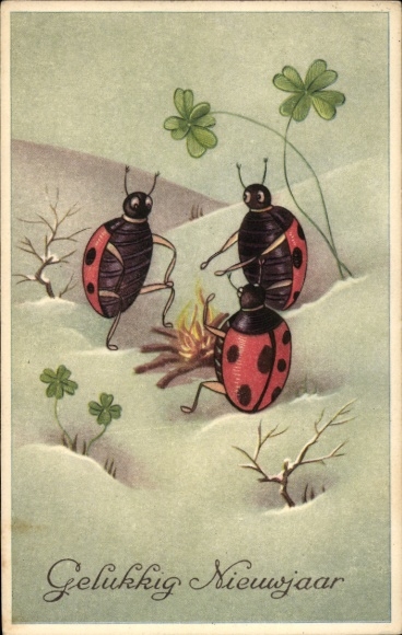 Postcard Happy New Year, Three ladybugs sitting at a campfire, clover leaves