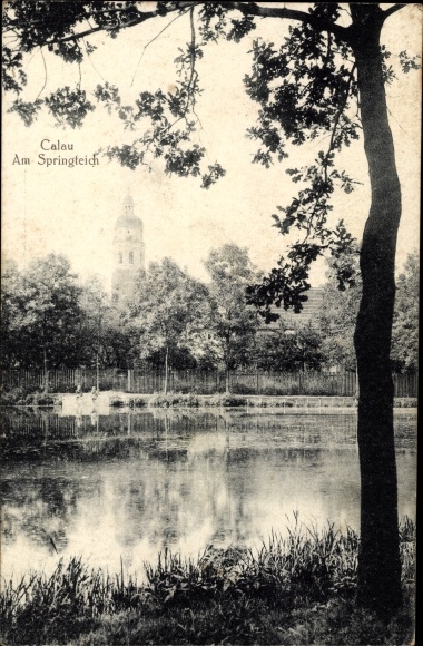 Ak Calau in Brandenburg, springvijver
