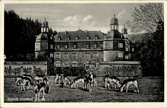 Ak Crottorf Friesenhagen in het Rijnland, Kasteel Crottorf, Krottorf, wildpark, herten