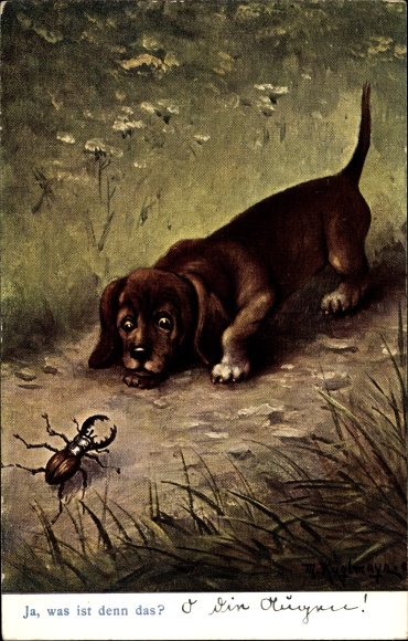 Artist Postcard Kuglmayr, M., Dachshund discovers a stag beetle, yes what is that