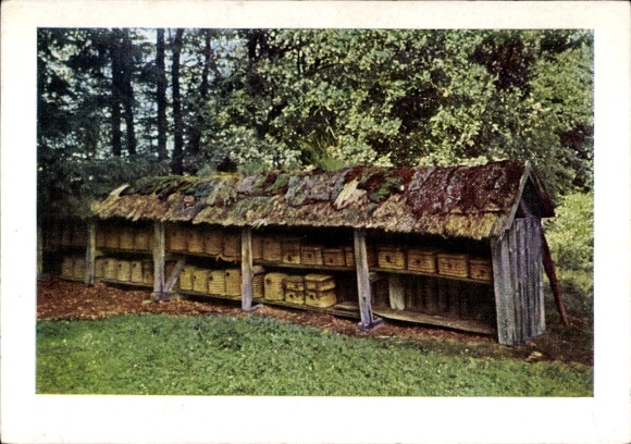 Ak Alter Bienenzaun, Naturschutzpark Lüneburger Heide