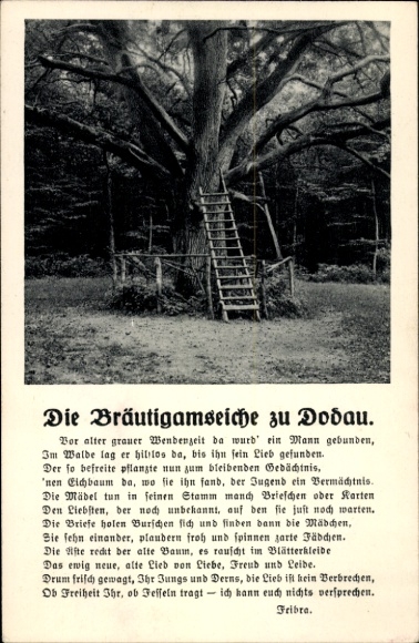 Ak Gedicht Bräutigamseiche zu Dodau