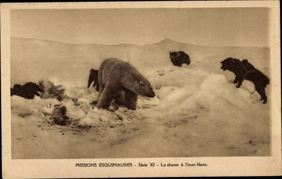 Postcard Missions Esquimaudes, La chasse a l&#39;ours blanc, hunting a polar bear, dog