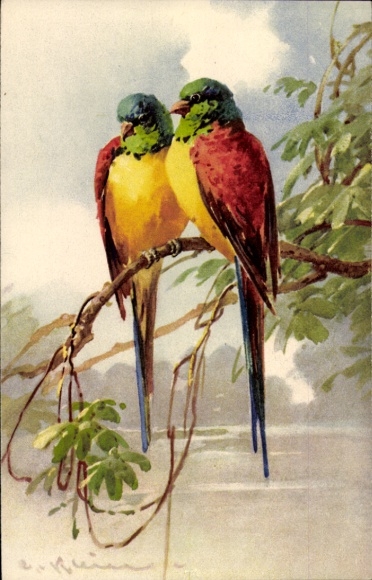 Artist Postcard Klein, C., Two Parrots