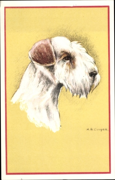 Artist PC Cooper, MB, Schnauzer, Dog Portrait