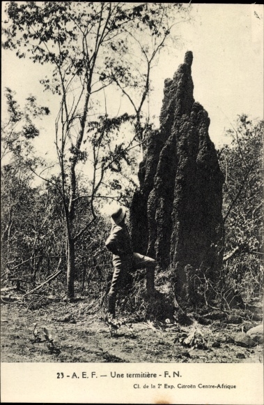 Postcard AEF, A termite mound, Cl. of the second Exp. Citroen Central Africa
