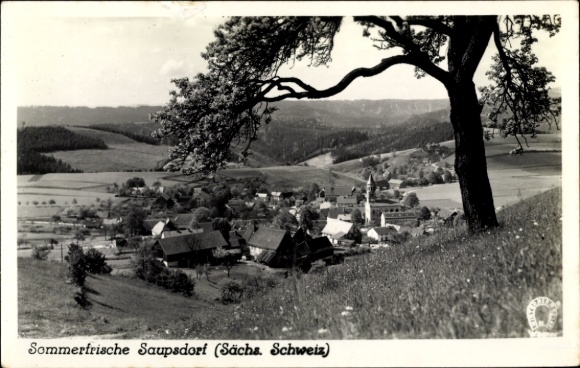Ak Saupsdorf Sebnitz Sächsische Schweiz, Sommerfrische  ländliche Landschaft, Kirche, Wald, Berge