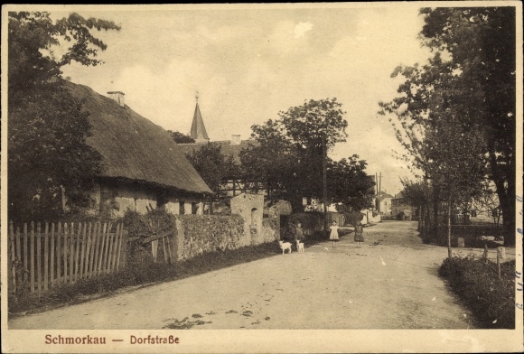 Postcard Schmorkau Neukirch Sachsen, Dorfstrasse
