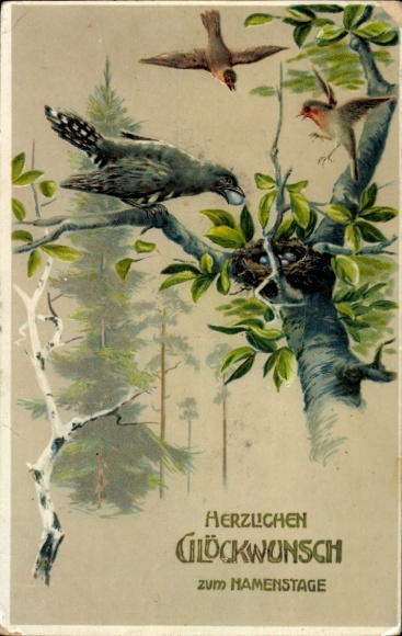 Postcard Happy Name Day, Cuckoo steals egg