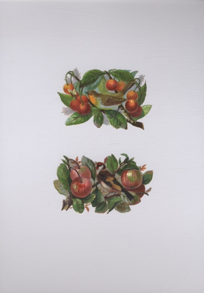2 Oblaten Singvögel in Zweigen mit Kirschen und Äpfeln, je ca. 6,5 x 10 cm