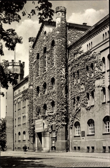 KP Bernburg nad Saale Salzlandkreis, ratusz, bluszcz