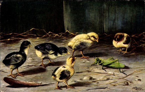 Artist PC Schönian, Alfred, chicks look at a grasshopper