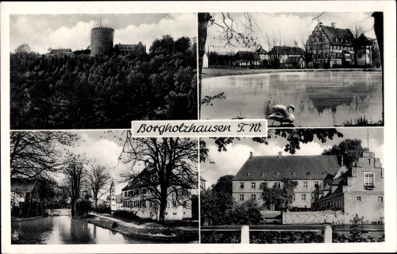 Ak Borgholzhausen Nordrhein Westfalen, Burg, Schwan, Wasserpartien, Schloss
