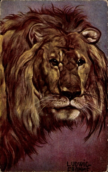 Artist Postcard Fromme, Ludwig, Lion, Animal portrait