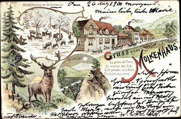 Chromo-Litho Bad Harzburg am Harz, Gasthof Molkenhaus, wild feeding, Muxklippe