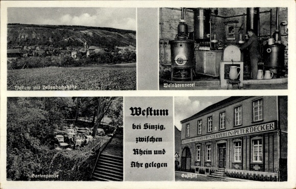 Postcard Westum Sinzig am Rhein, wine distillery, Peter Decker guest house, Hellenbachshöhe