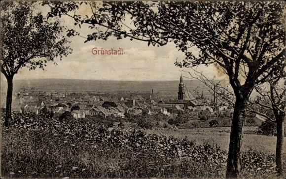 Ak Grünstadt in der Pfalz, Panorama