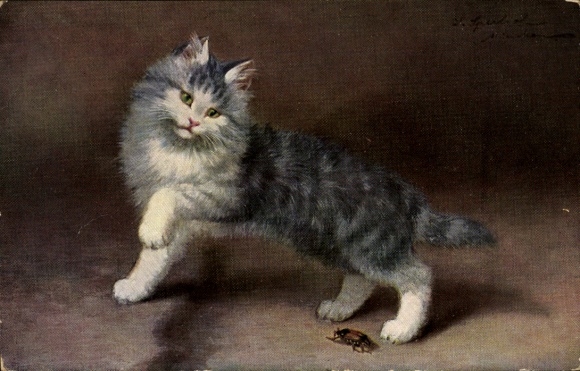 Künstler Ak Katze, Tierportrait, Käfer