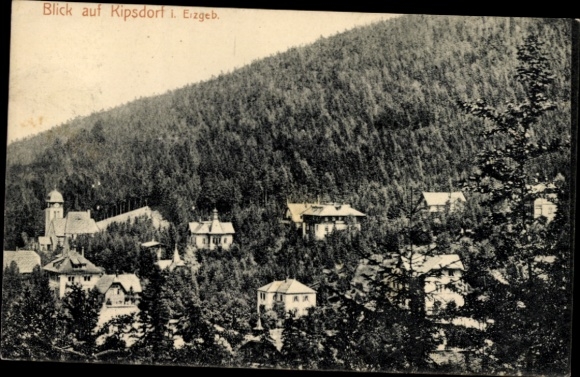 Ak Kipsdorf Altenberg, Blick auf den Ort im Wald