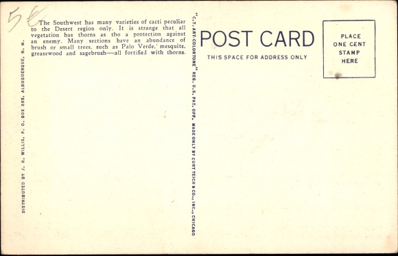 Postcard USA, Many varieties of Cacti of the Southwest, Kakteen