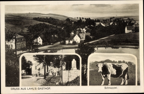 Ansichtkaart Kuhschnappel Sankt Egidien in Sachsen, overzicht, Gasthof Walter Lahl, koe