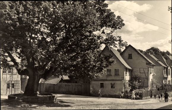 Ak Kranichfeld in Thüringen, Die Linde vorm Baumbachhaus