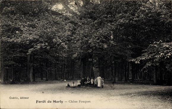 Ak Marly le Roi Yvelines, Wald von Marly, Fouquet Eiche