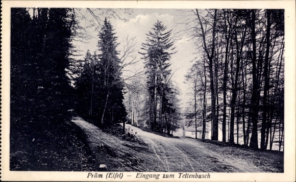 Postcard Prüm in der Eifel, Prüm (Eifel) entrance to the Tettenbusch